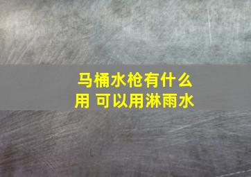 马桶水枪有什么用 可以用淋雨水